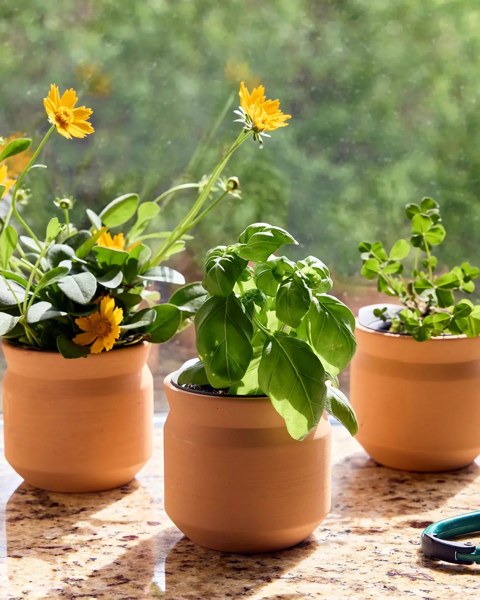 Custom terracotta thank you grow kit gift - 10