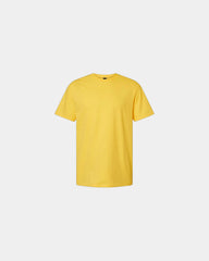 Custom cotton blend unisex Softstyle CVC t-shirt - Daisy Mist