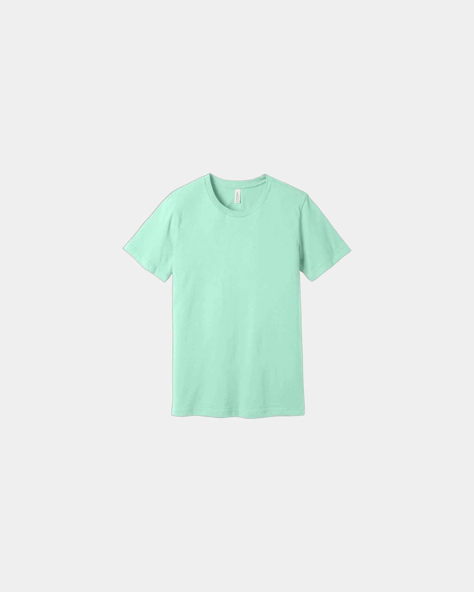 Custom combed cotton unisex jersey short sleeve tee - Mint