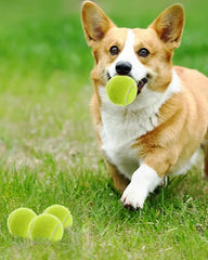 Promotional rubber squeaky dog tennis ball toy - 4