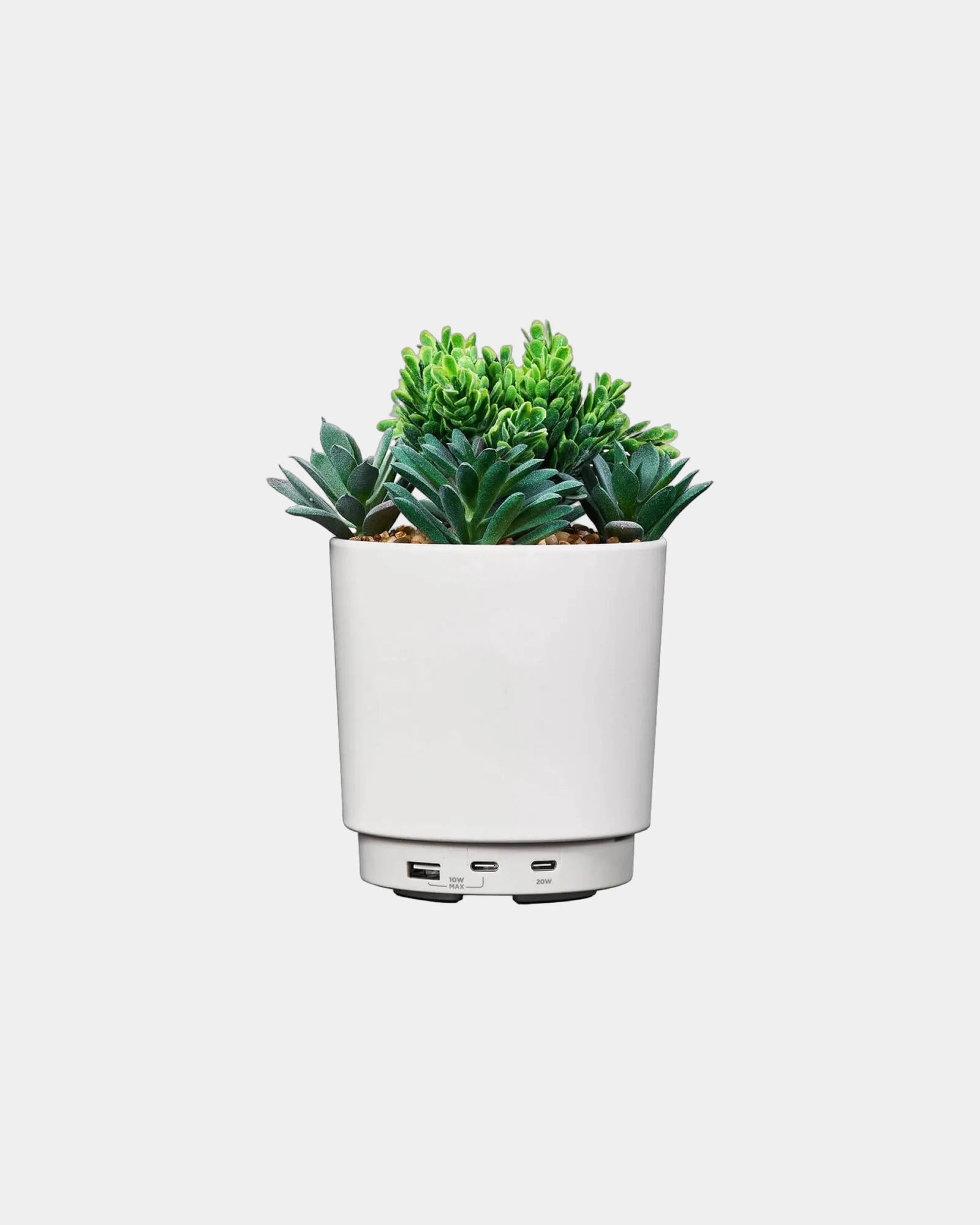 Custom USB charging station with faux succulent design - 3