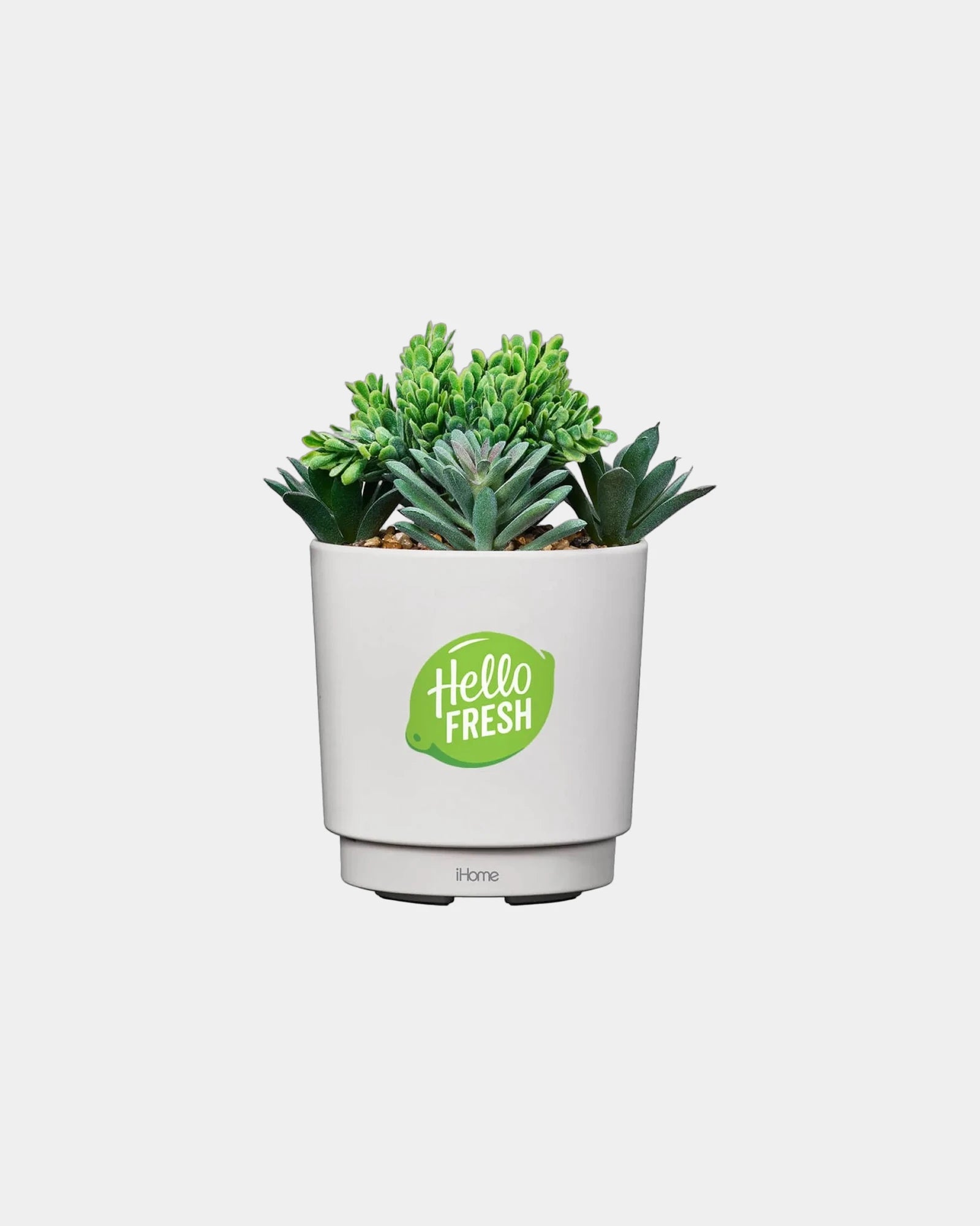 Custom USB charging station with faux succulent design - 1