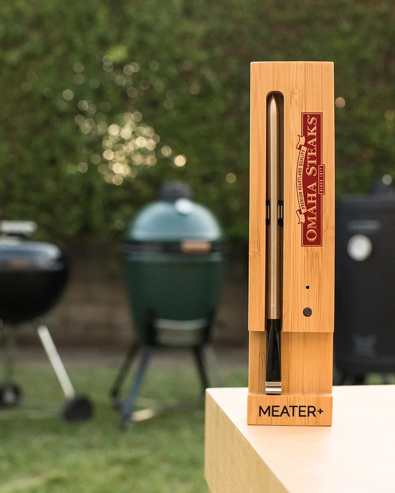 Custom wireless smart meat thermometer, 165-ft range - 7