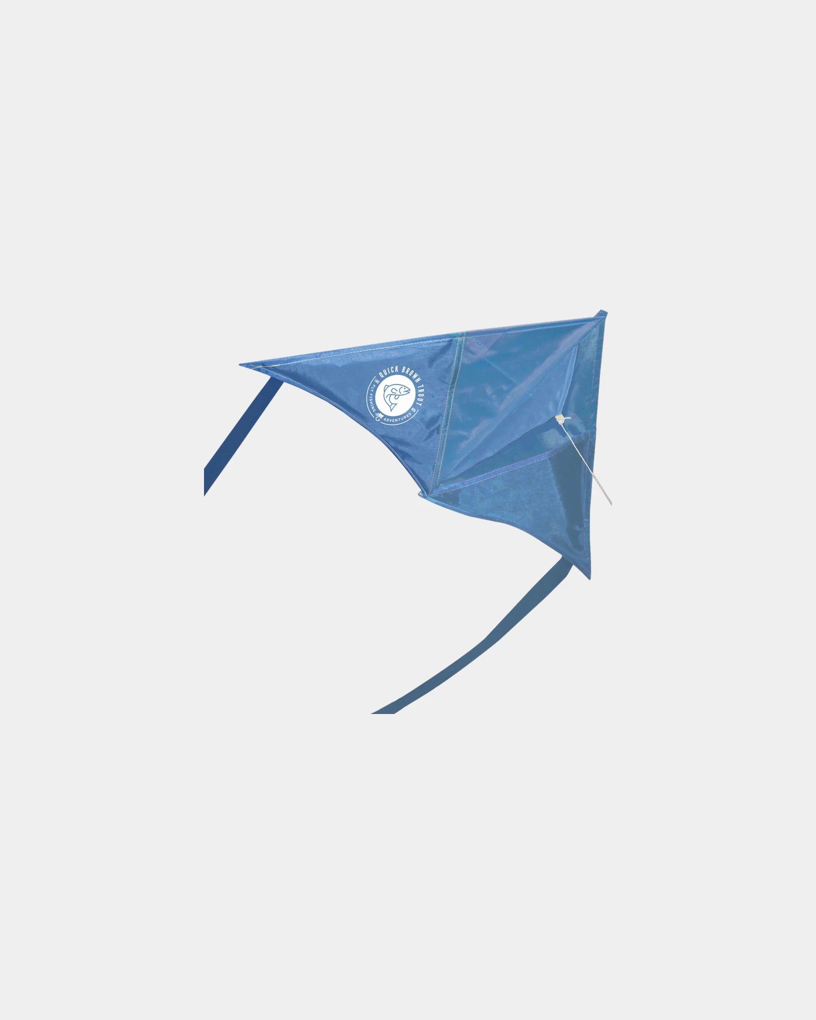 Custom 24" kite with dual stable tails - Blue