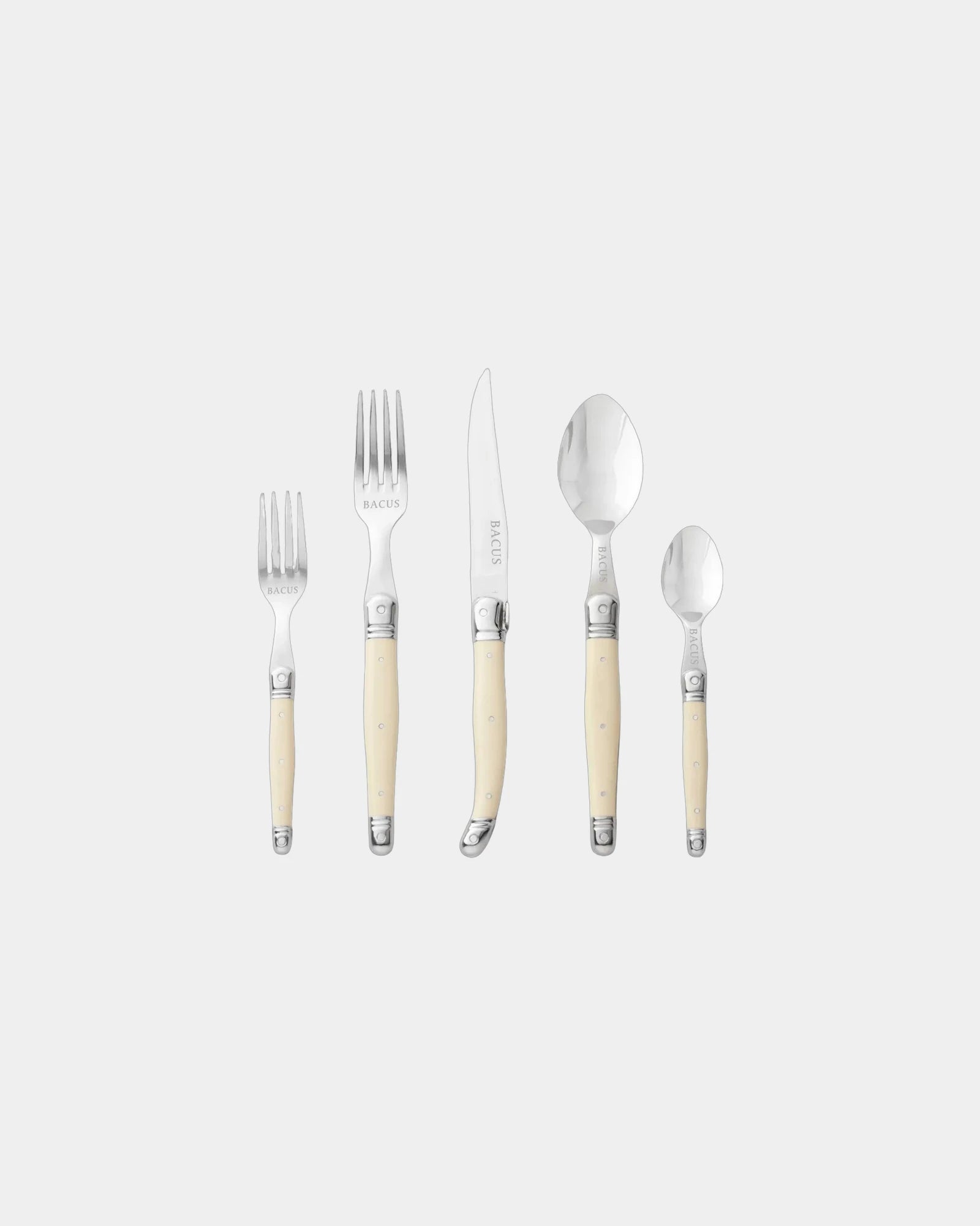 Custom stainless steel Laguiole 5-piece flatware set - Stainless-Steel